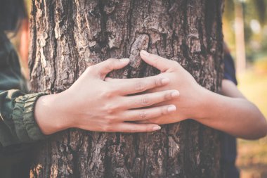 Kadınlar, büyük ağaç rengini hipster sesi seçici yumuşak odak sarılma kavram doğa ve insan çevreyi korumak