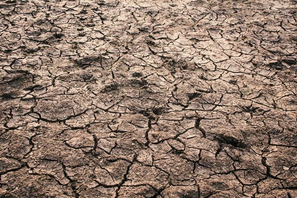 Fondo Seco Grieta Concepto Sequía —  Fotos de Stock
