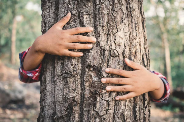 Asian boy hugging big tree color of hipster tone selective soft focus, concept nature and human protect environment