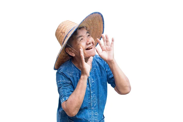 Feliz Viejo Asiático Mujer Agricultor Sonriendo Blanco Fondo — Foto de Stock