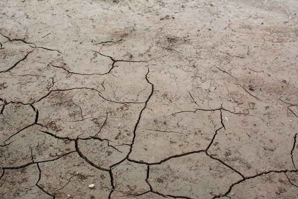Тріщина Сухого Фону Концепція Посухи — стокове фото