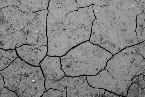 Трещина Сухой Фон Концепция Засухи — стоковое фото