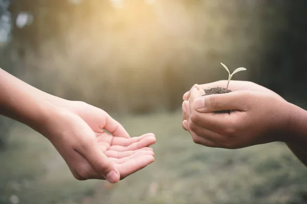 Kinderen Hand Met Groene Plant Natuur Besparen Milieu Beschermen — Stockfoto