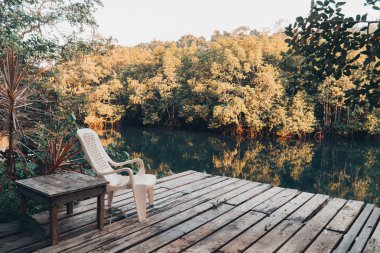 Güzel bir göl ve mangrov ormanı manzarası..