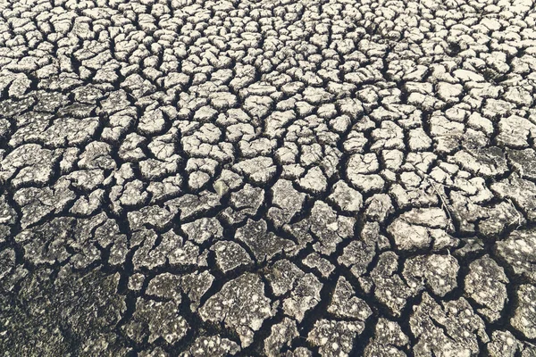土地の干ばつと環境危機の概念 — ストック写真