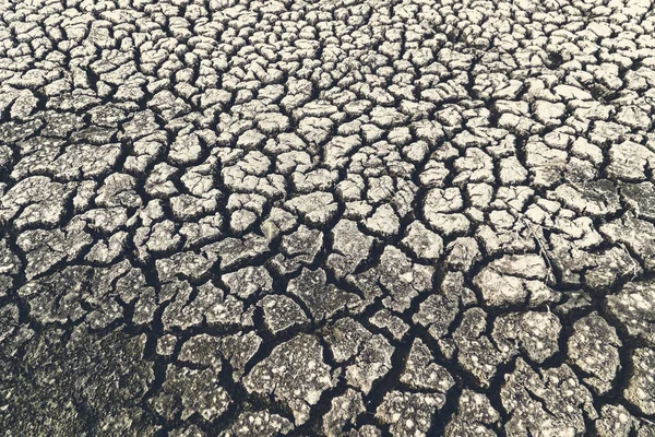 Crack Land Droogte Milieu Crisis Concept — Stockfoto