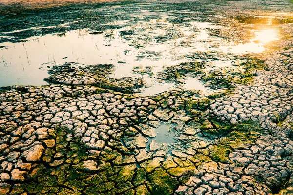 Crack Tierra Sequía Medio Ambiente Crisis Concepto —  Fotos de Stock