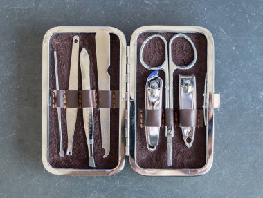 Köpek yavrusu küçük chihuahua beyaz kahverengi uyku defterinde yalan                   