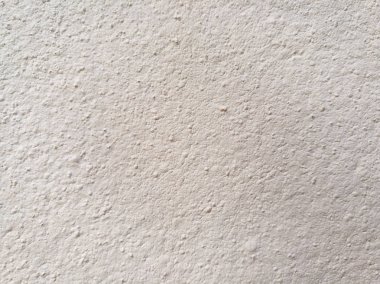 Köpek yavrusu küçük chihuahua beyaz kahverengi uyku defterinde yalan                   