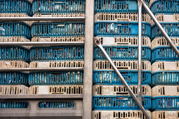 Chickens transportation in cramped cage stacked on a truck — ストック写真