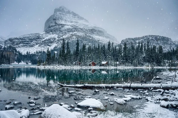 Albergue de madera en bosque de pinos con fuerte reflejo de nieve en el lago O — Foto de Stock