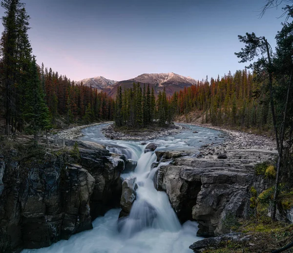 Sunwapta Falls är ett par av Sunwapta älven i höstskogen vid — Stockfoto