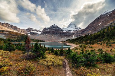 Mount Assiniboine with autumn forest at Lake Magog on provincial clipart