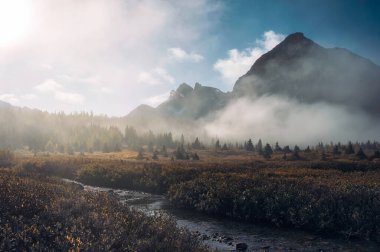 Manzara kayalık dağ sisli ve sonbahar ormanı sabah