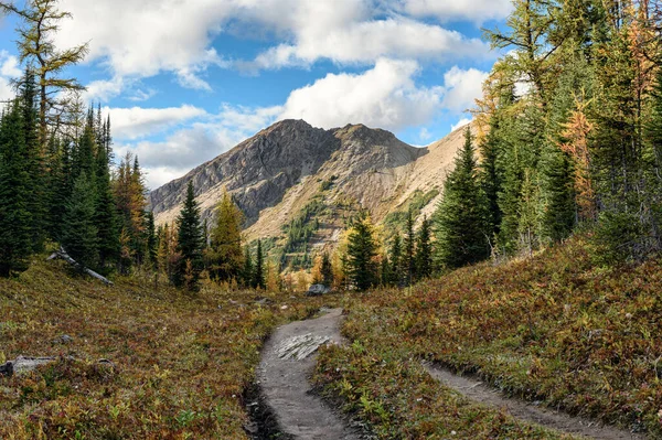 Sendero de senderismo con montañas rocosas en el bosque de otoño en provincial — Foto de Stock