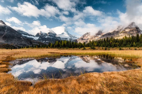 Monte Assiniboine reflexión sobre el estanque en pradera dorada en Canadá — Foto de Stock