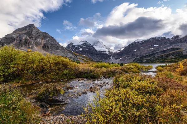 Monte Assiniboine con arroyo que fluye en el desierto de oro en pr — Foto de Stock