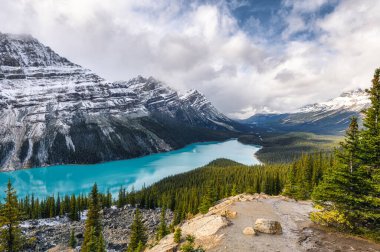 Peyto Gölü manzarası Kanada 'daki Banff Ulusal Parkı' ndaki tilkiye benziyor.