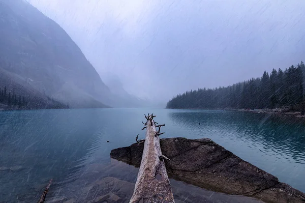 Paysage Billes Sur Lac Moraine Dans Blizzard Parc National Banff — Photo