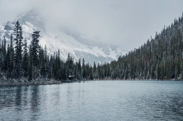 Albergue Madera Bosque Pinos Con Nieve Pesada Montaña Lago Hara — Foto de Stock