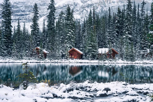 Albergue Madera Bosque Pinos Con Una Fuerte Reflexión Sobre Nieve — Foto de Stock