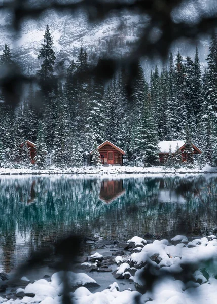 Ξύλινη Καταθέσει Πευκοδάσος Έντονη Αντανάκλαση Χιονιού Στη Λίμνη Hara Στο — Φωτογραφία Αρχείου