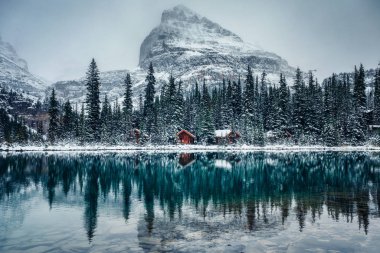 Wooden lodge in pine forest with heavy snow reflection on Lake O'hara at Yoho national park, Canada clipart