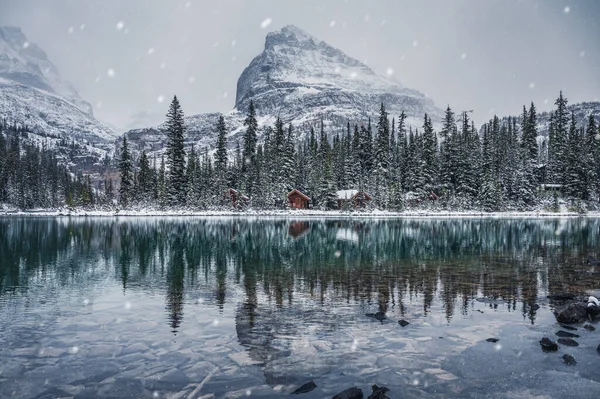 Ningerea Cabană Din Lemn Pădurea Pin Reflecție Acoperită Zăpadă Lacul — Fotografie, imagine de stoc