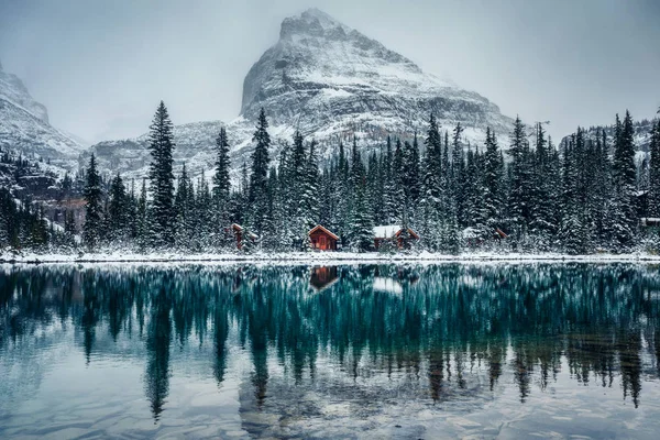 Albergue Madera Bosque Pinos Con Una Fuerte Reflexión Sobre Nieve — Foto de Stock