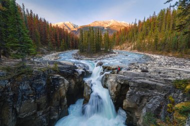 Sunwapta Falls with traveler sitting on rock in autumn forest at sunset. Icefields Parkway, Jasper national park, Canada clipart