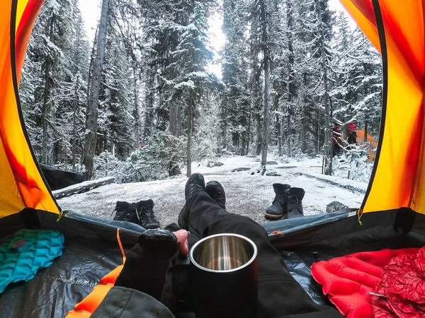 Подорожуючий Табір Рукою Тримає Чашу Наметі Снігом Сосновому Лісі Національному — стокове фото