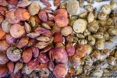Çeşitli deniz ürünleri restoranda oksijen baloncuğuyla ıslanıyor.