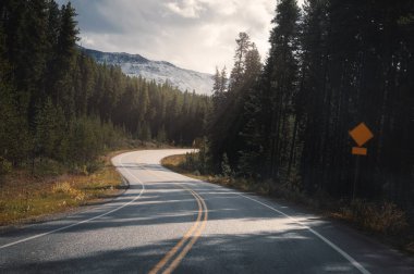 Kanada Banff Ulusal Parkı 'ndaki ormanda gün ışığıyla otoyolda yolculuk.