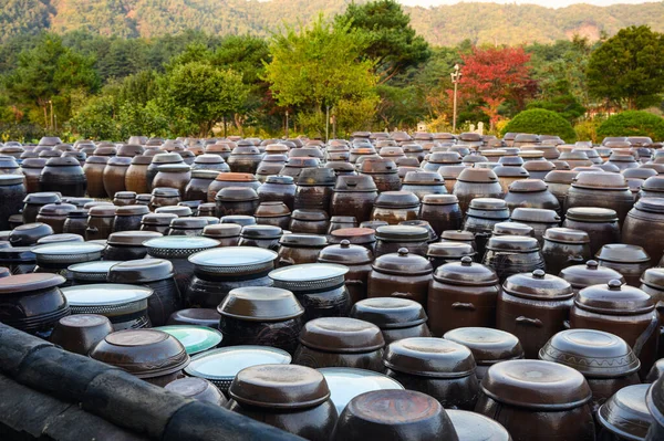 秋の庭で韓国の伝統的な発酵の土鍋のアレンジ — ストック写真