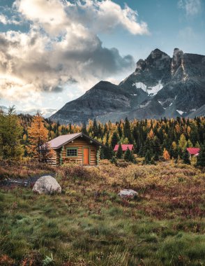 Sonbahar ormanlarında kayalık dağları olan ahşap kulübeler Assiniboine il parkında, Kanada