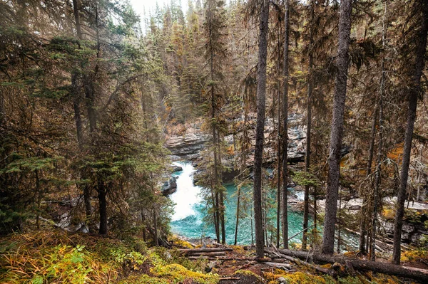 Cascada Del Cañón Johnston Que Fluye Bosque Otoño Parque Nacional — Foto de Stock