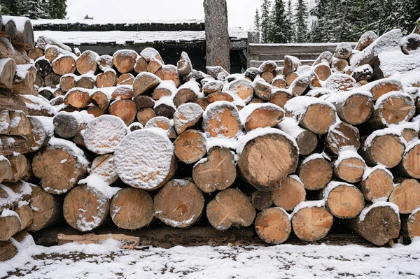 冬の森林保護区に雪で覆われた大きな丸太の薪を積みました — ストック写真