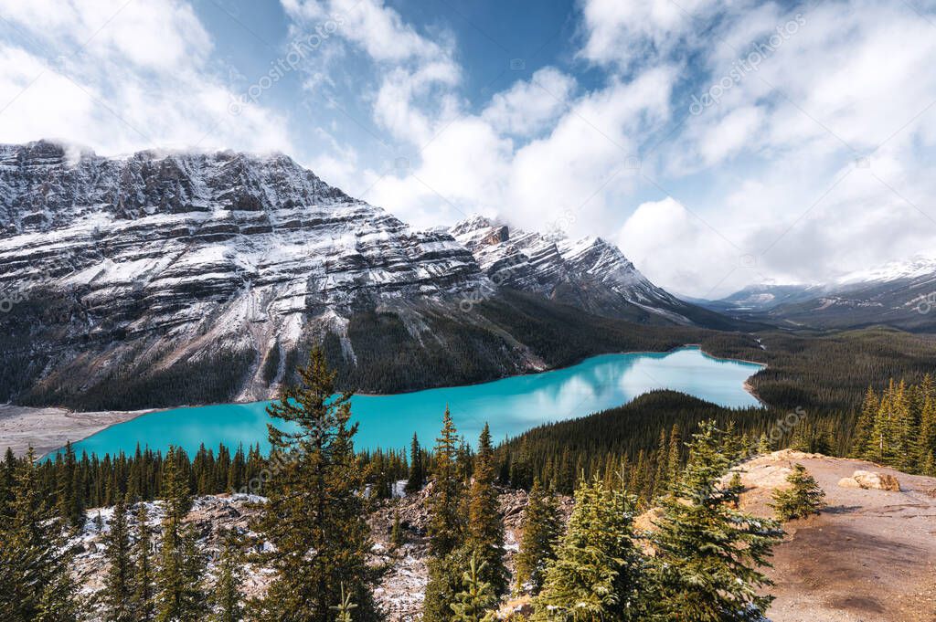 Scenery of Peyto lake resemble of fox on autumn in Banff national park at Alberta, Canada