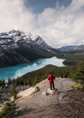 Peyto Gölü manzarası, Kanada 'nın Alberta kentindeki Banff Ulusal Parkı' nda gezen bir adamla tilki manzarasına benziyor.