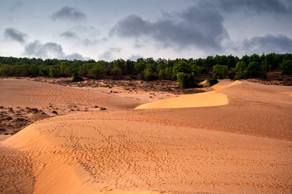 Ola Desierto Arena Con Huella Noche — Foto de Stock