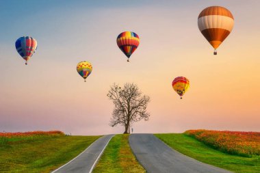 Renkli sıcak hava balonları akşamları çiçek bahçesindeki kuru ağaçlarda uçuyor.