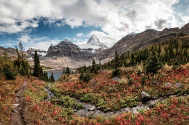 Assiniboine Dağı Panoraması ile Kanada 'nın başkenti BC' deki eyalet parkında Sonbahar Ormanı 'nda Magog Gölü.