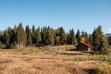 Assiniboine il parkında sonbaharda çam ormanında ahşap kulübeler, BC, Kanada