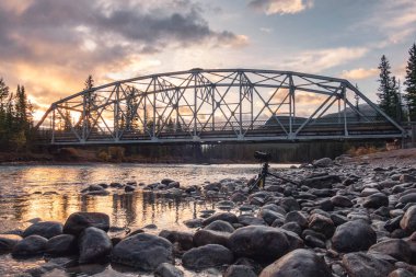 Kanada 'daki Banff Ulusal Parkı' nda sonbahar ormanıyla birlikte Castle Mountain 'da nehir kıyısındaki köprüde.