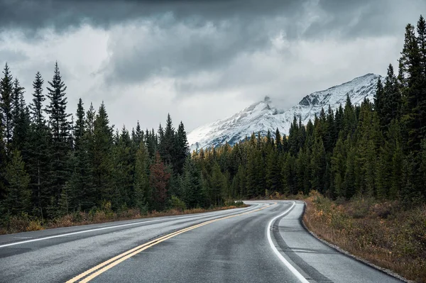 Estrada Asfalto Floresta Outono Dia Sombrio Parque Nacional Banff Canadá — Fotografia de Stock