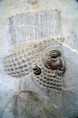 Bas Rölyef Persepolis içinde