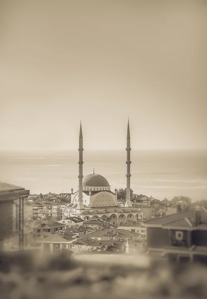 Mosque in Istanbul — Stock Photo, Image