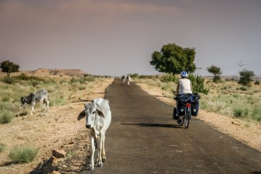 Rajastham içinde Bisiklete binme