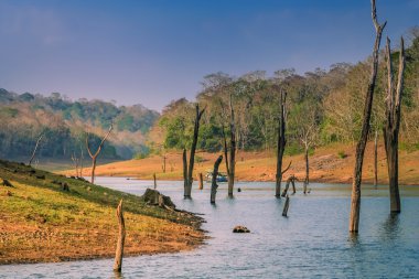 periyar Milli Parkı