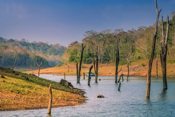periyar Milli Parkı
